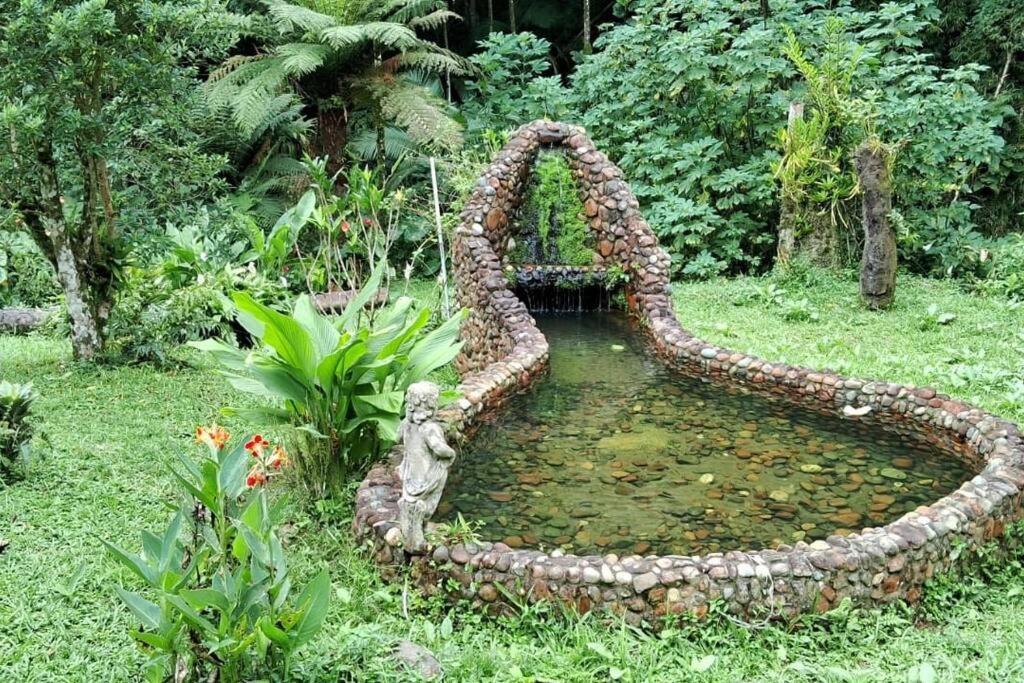 Sitio Som Aguas * Benedito Novo