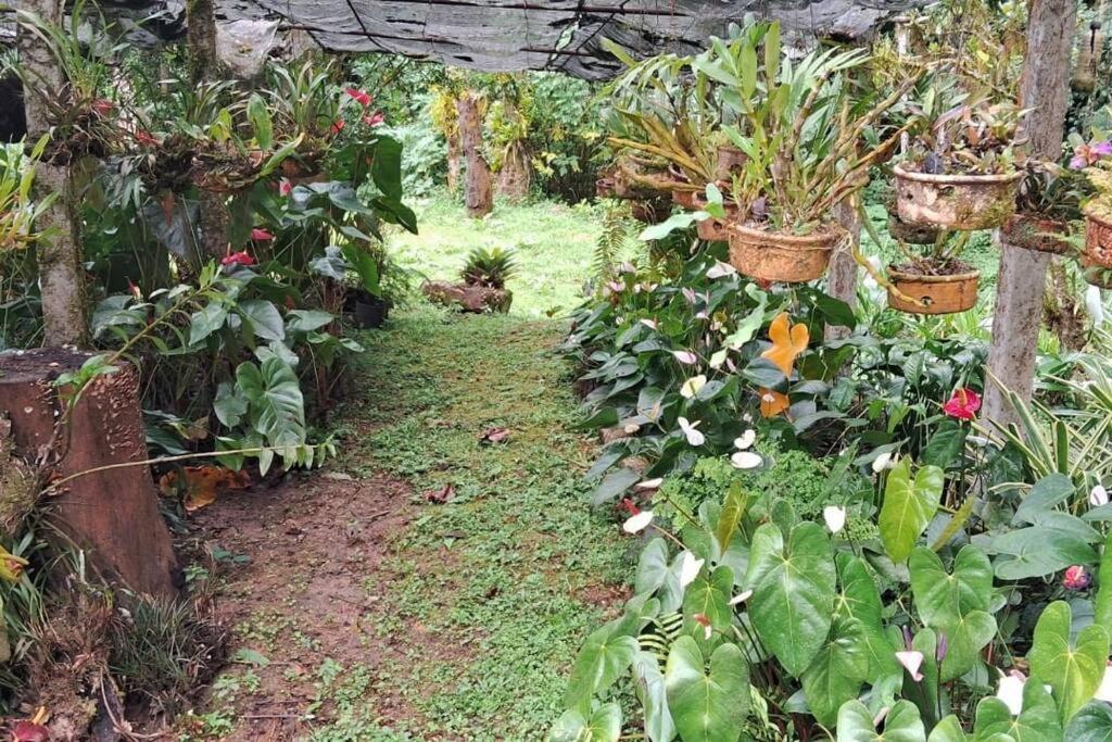 Villa Sitio Som Aguas *