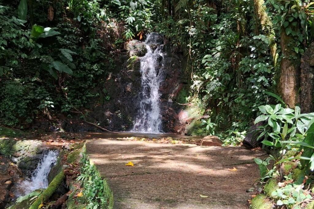 Sitio Som Aguas * Benedito Novo